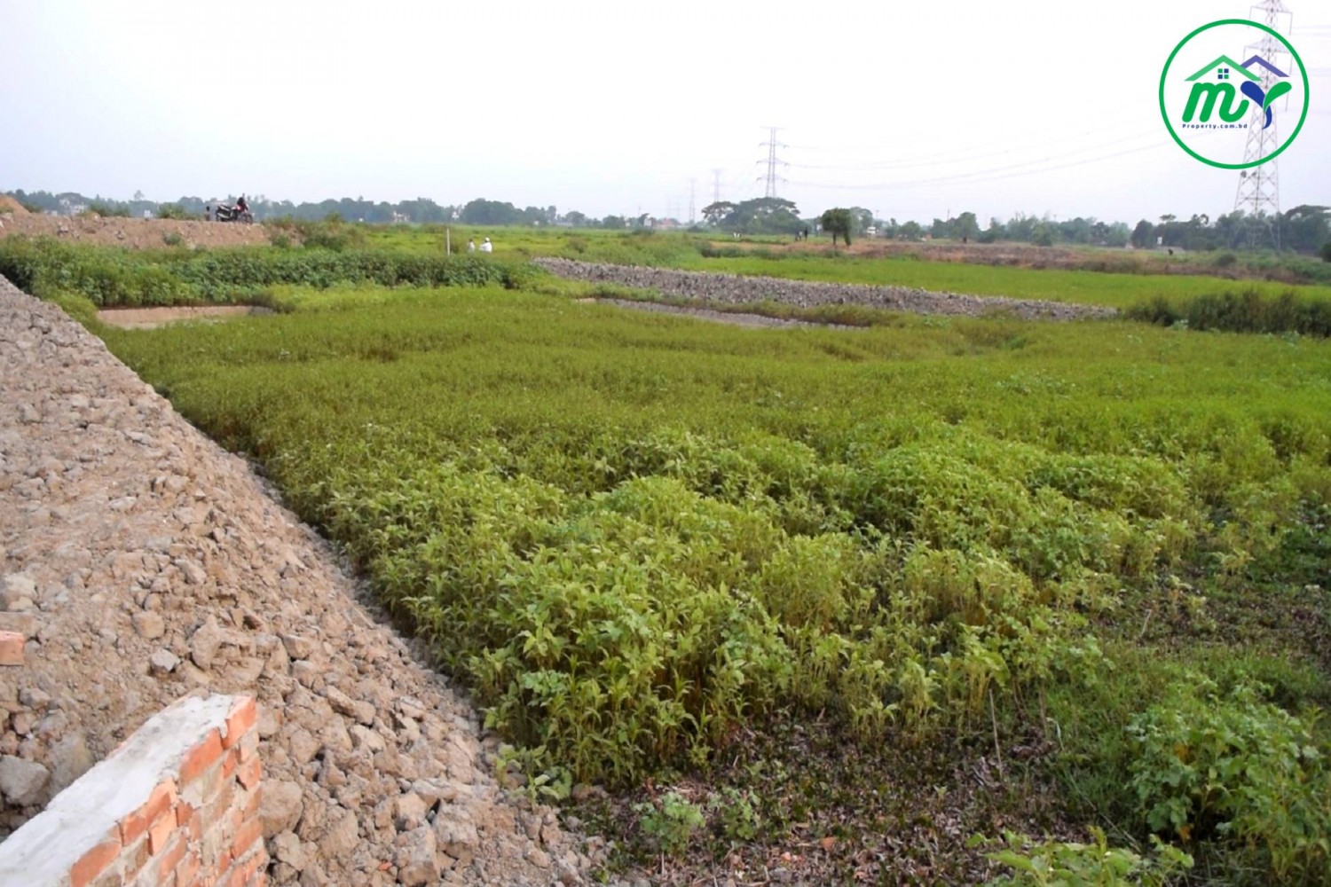 আকর্ষনীয় মূল্যে ঢাকার কেরানীগঞ্জে নীট প্লট - Net plot in Keraniganj, Dhaka WITH an attractive price.
