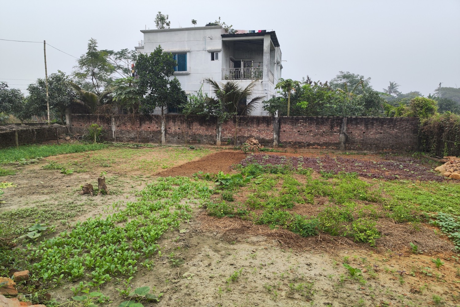 শীতকালীন অফারে কেরানীগঞ্জের আটি বাজারে নিট প্লটের উপর নগদ ২০ লক্ষ টাকা ছাড় - Winter Offer on Land in Keraniganj