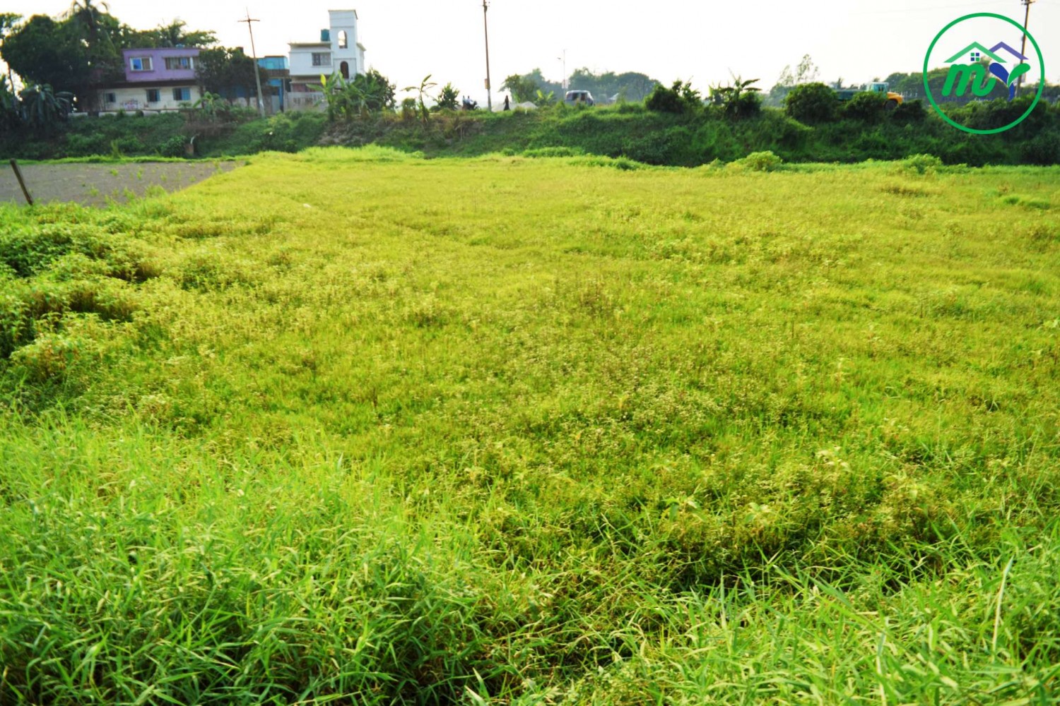 ঢাকার প্রাণকেন্দ্র মোহাম্মদপুর থেকে ৭ কিঃ মিঃ দূরে ৫ কাঠার প্লট।