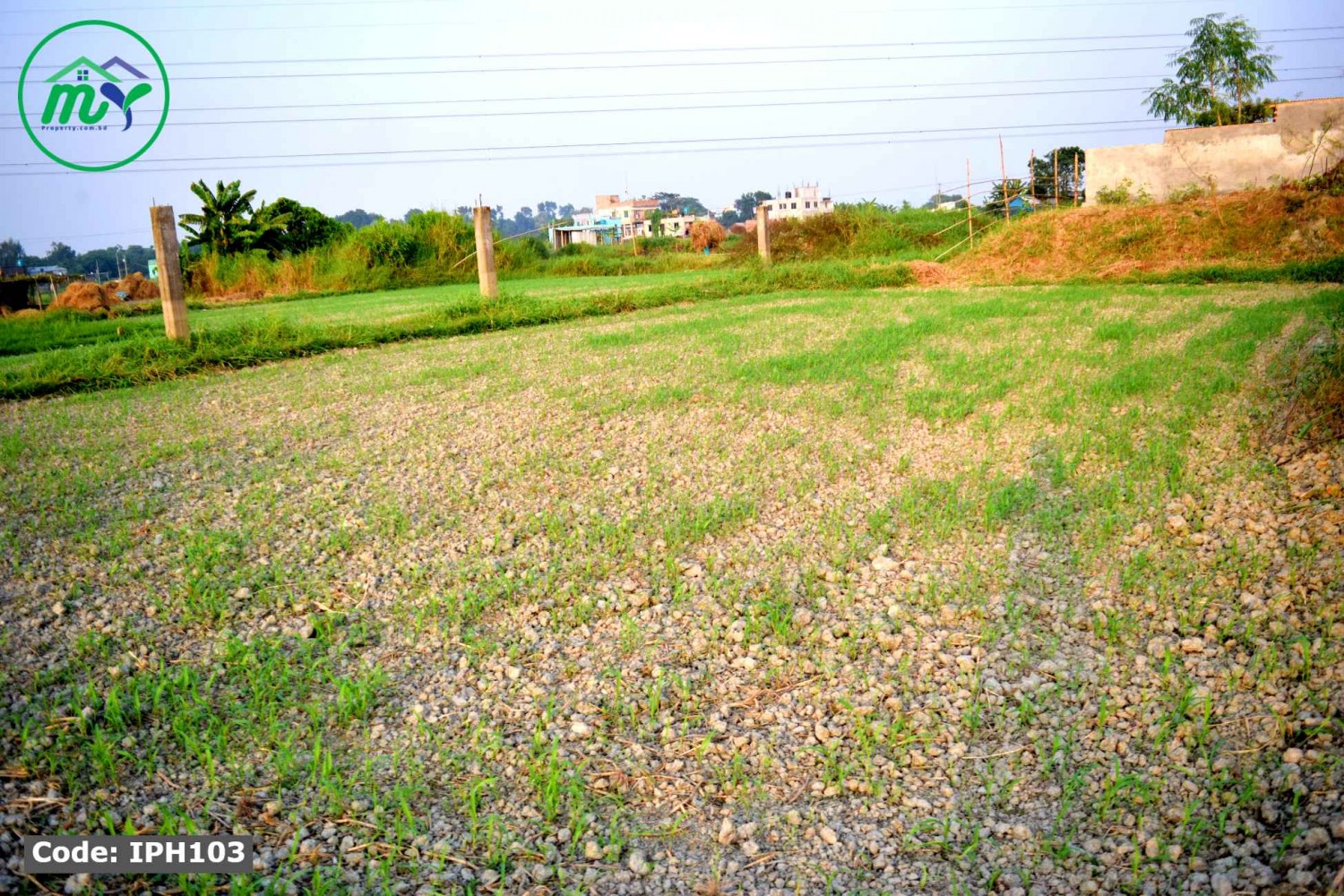 কম দামে জমির মালিক হন আটি বাজার কেরানীগঞ্জ এ।  Ati Bazar Keraniganj became the owner of the land at the lowest price