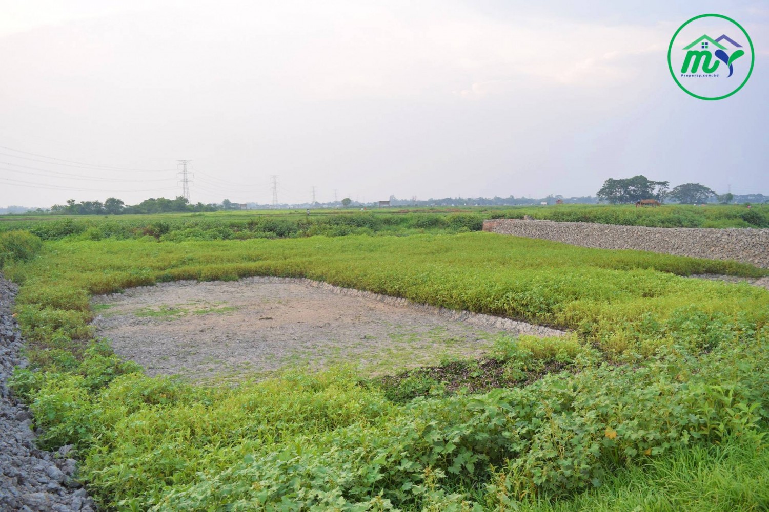 কেরানীগঞ্জ এ নিৰ্ভেজাল জমি, প্রতি শতাংশ মাত্র ২৫০০০০ লক্ষ টাকা  - Per Decimal 250000 Taka Plot in Keraniganj