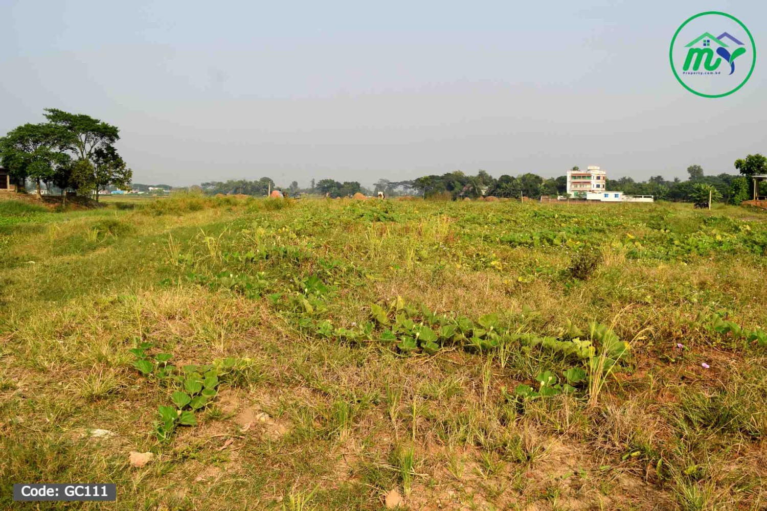একদম রেডি প্লট মাত্র দশ লক্ষ টাকা এখনই বাড়ি করার উপযোগী - Ready Plot  Only 10 Lakh Taka Per Katha Suitable For Home