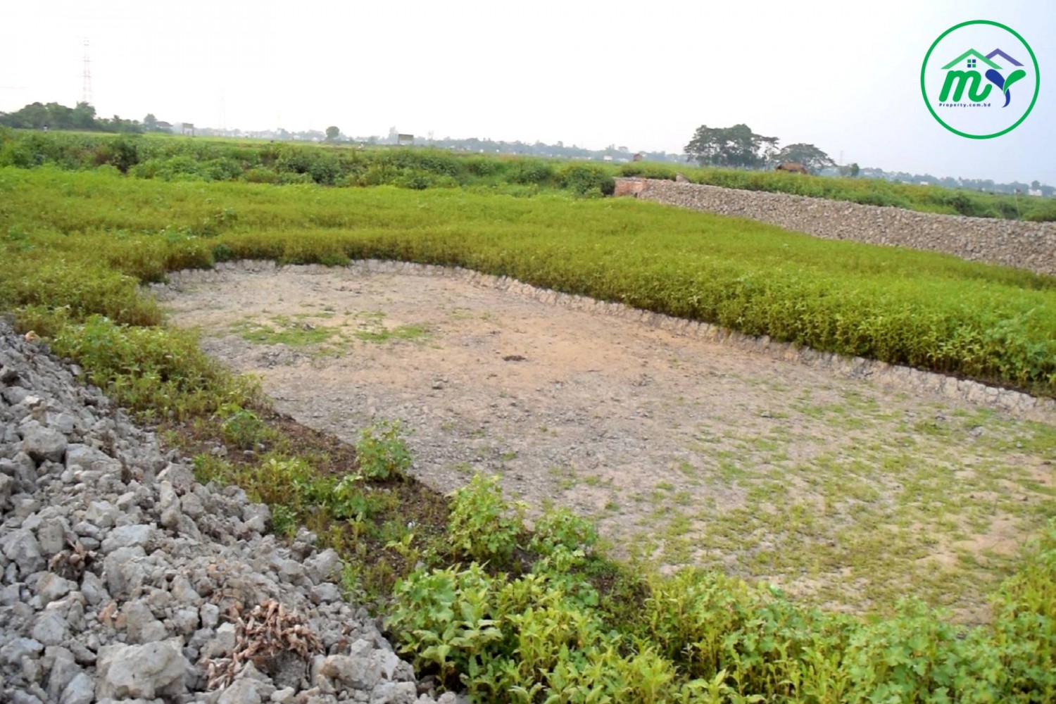 স্বল্প মূল্যে ঢাকার মোহাম্মদপুরে নিষ্কন্টক ৫ কাঠার রেডি জমি - Net 5 katha ready land in Mohammadpur, Dhaka at low price.